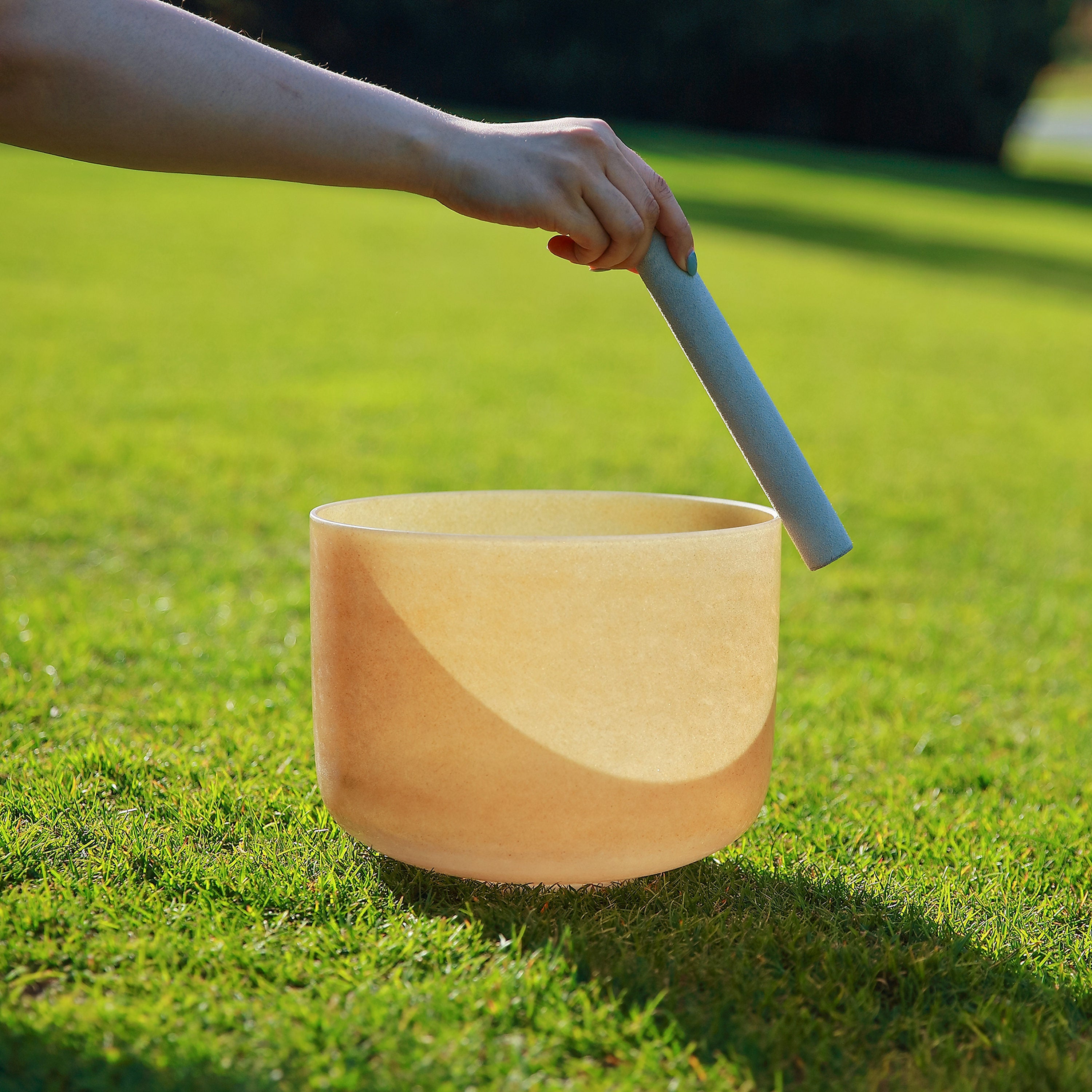 TOPFUND 440 Hz D Note Topaz Fusion Crystal Singing Bowl Chakra 10 inch - TOPFUND Crystal Singing Bowl