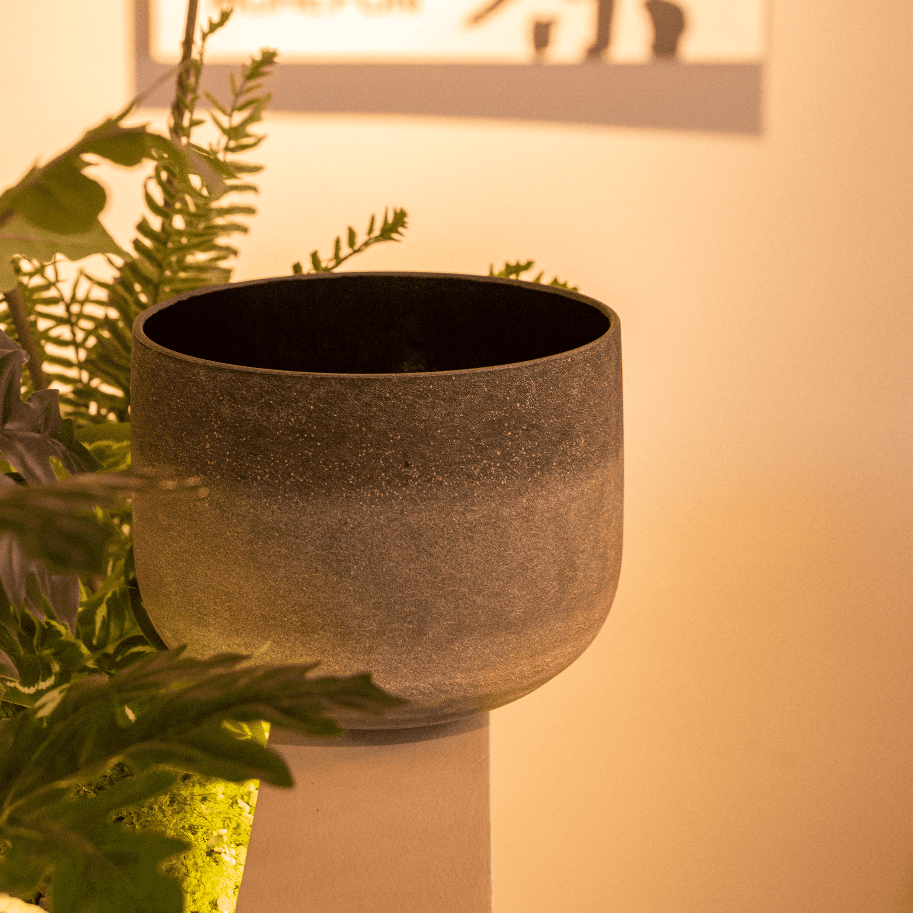 TOPFUND 8 inch Tourmaline Fusion A Note  Crystal Singing Bowl - TOPFUND Crystal Singing Bowl