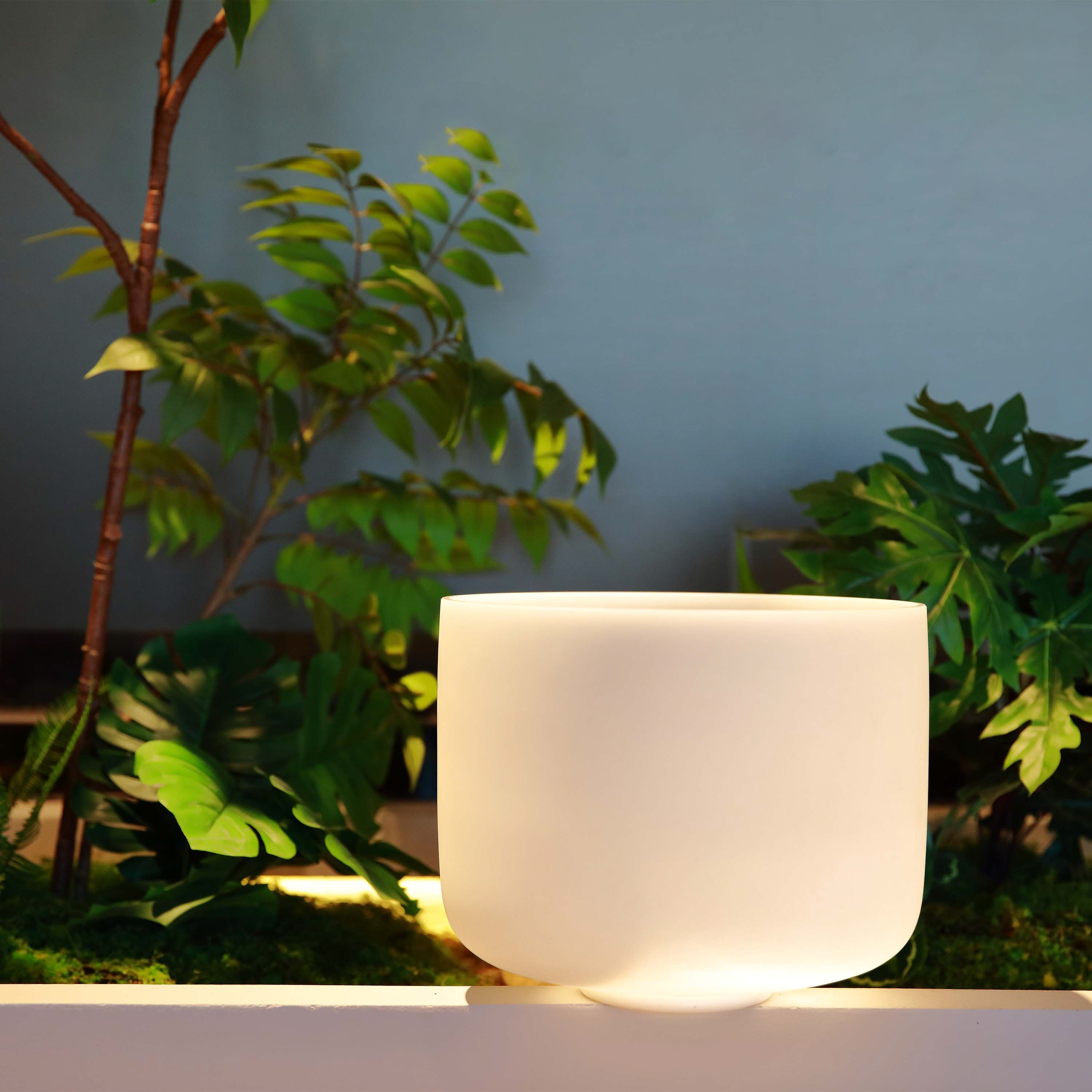 TOPFUND F Note Crystal Singing Bowl Heart Chakra - TOPFUND Crystal Singing Bowl