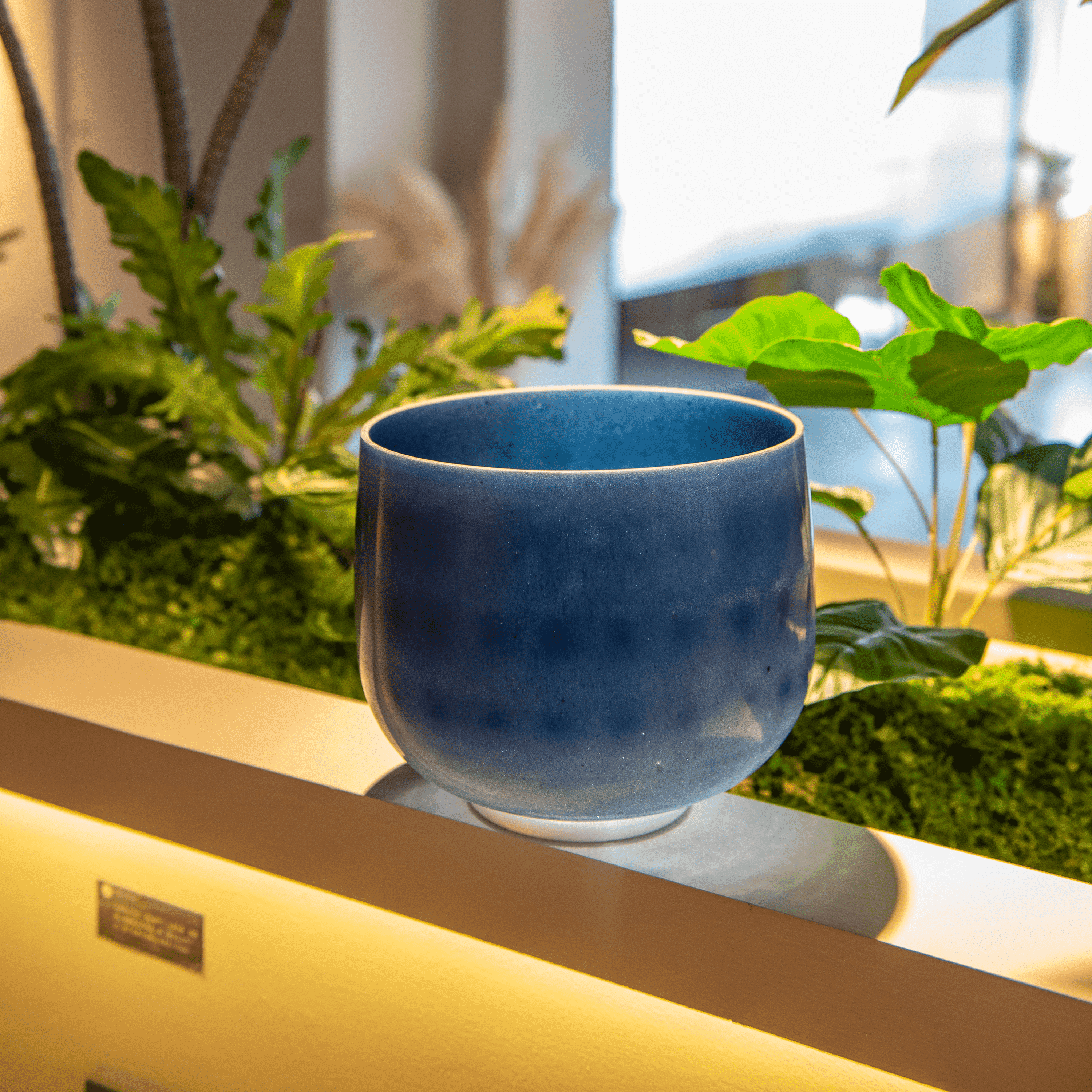 TOPFUND 8 inch Sapphire Fusion G# Note  Crystal Singing Bowl - TOPFUND Crystal Singing Bowl