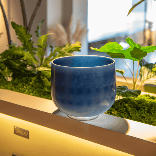 TOPFUND 8 inch Sapphire Fusion G# Note  Crystal Singing Bowl - TOPFUND Crystal Singing Bowl