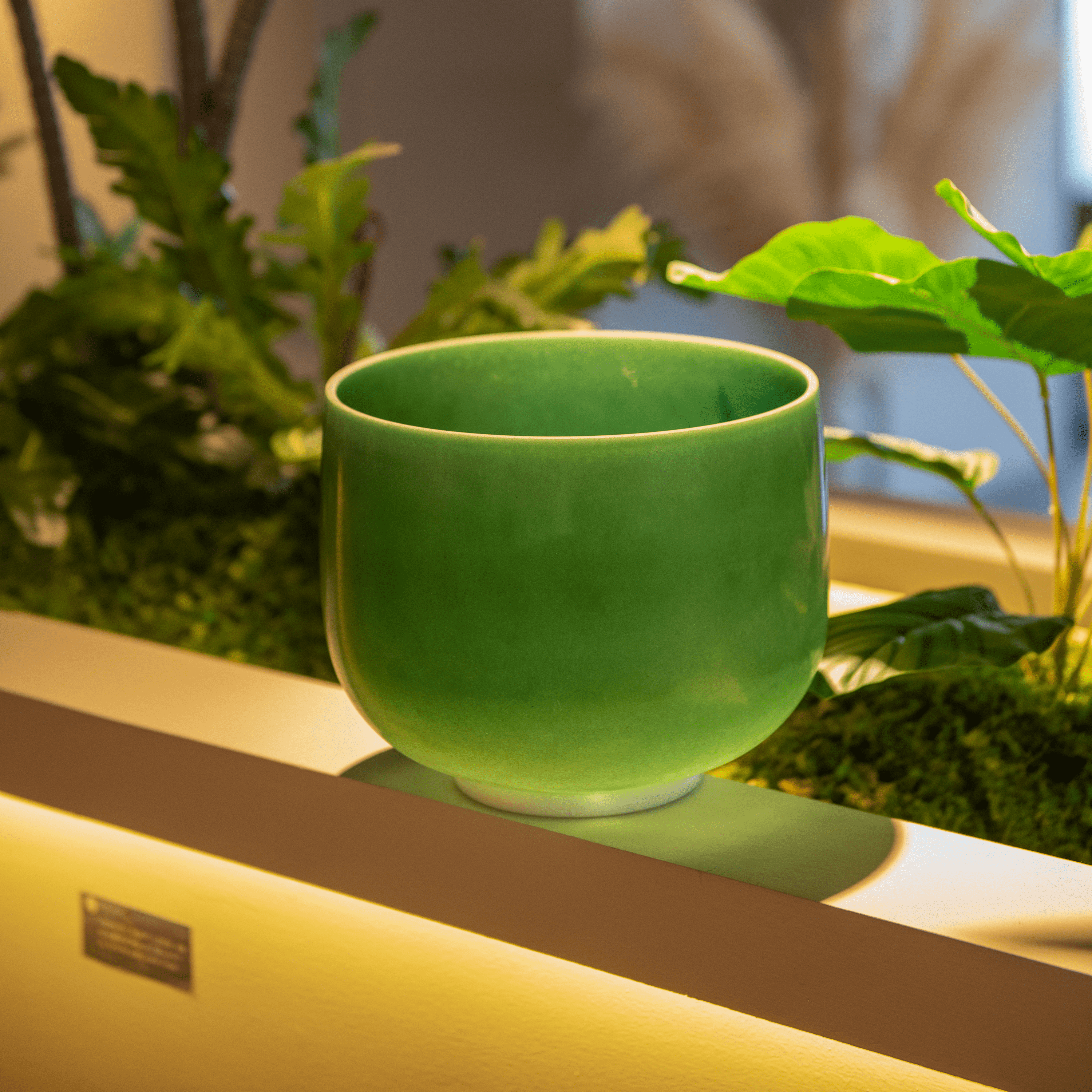 TOPFUND Emerald Fusion Crystal Singing Bowl - TOPFUND Crystal Singing Bowl