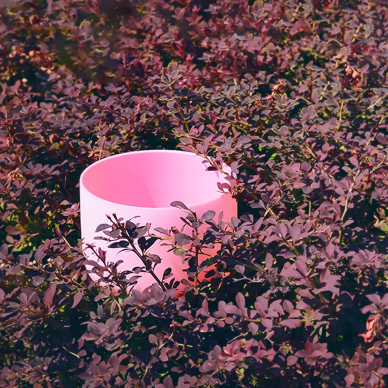 TOPFUND Morganite Fusion Crystal Singing Bowl - TOPFUND Crystal Singing Bowl