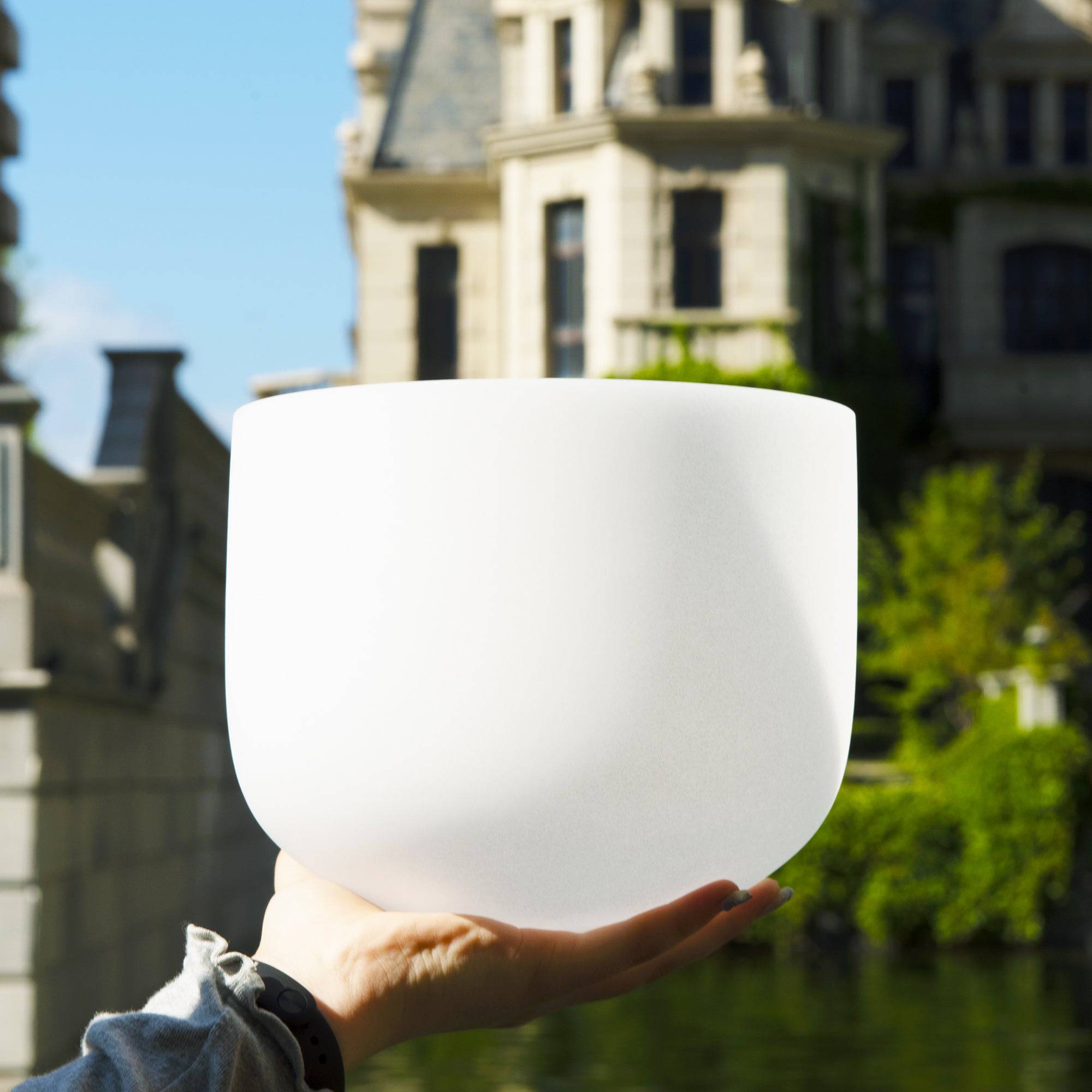 TOPFUND C Note Root Chakra Crystal Singing Bowl - TOPFUND Crystal Singing Bowl