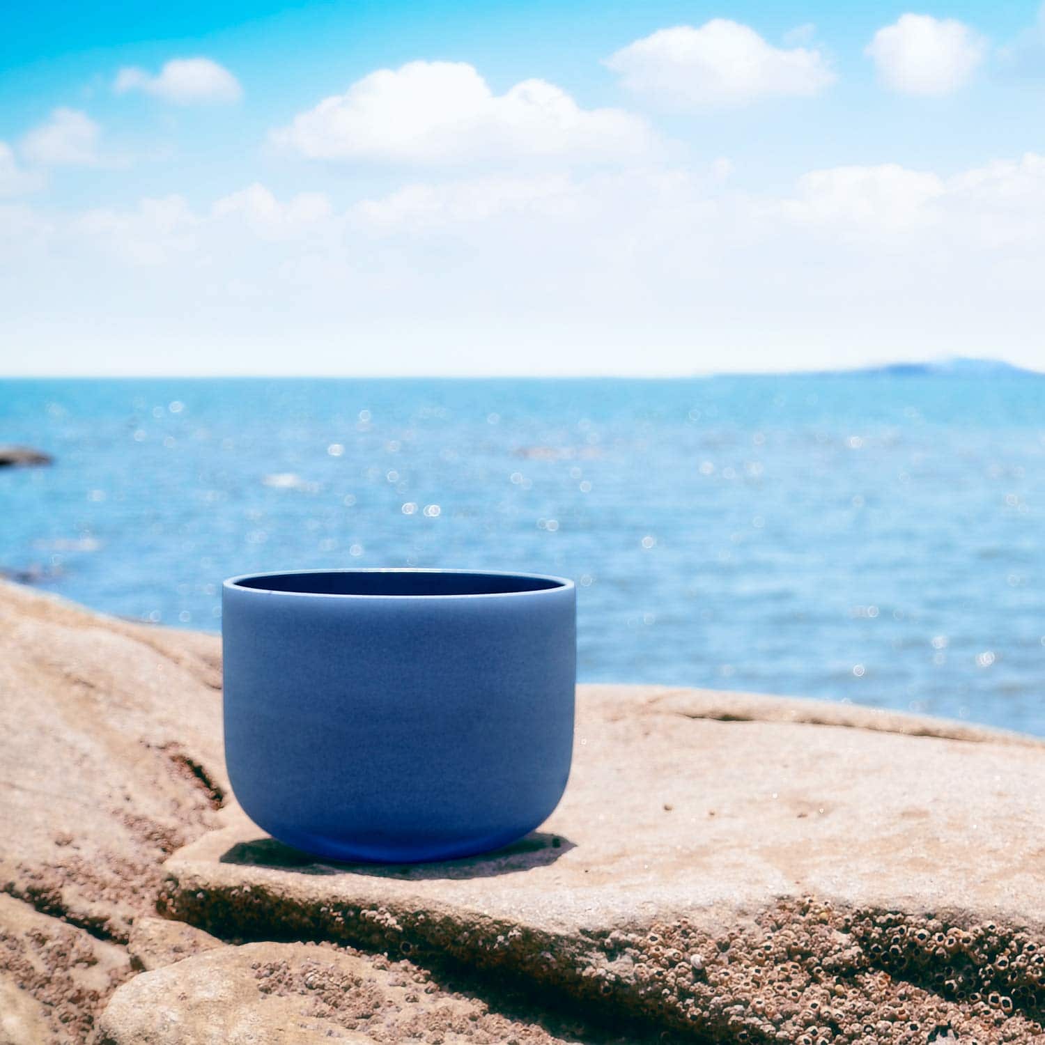 TOPFUND 440 Hz Perfect Pitch Indigo A Note Crystal Singing Bowl Third Eye Chakra 8 inch with Heavy Duty Carrying Case and Suede Striker - TOPFUND Crystal Singing Bowl